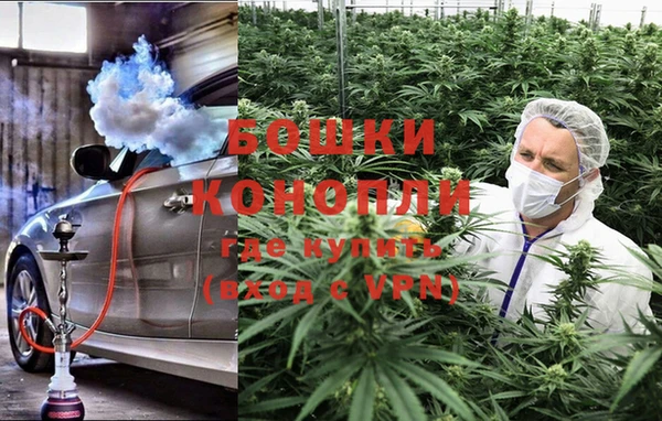 a pvp Богданович