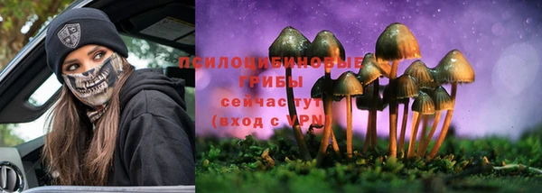 марки nbome Богородицк